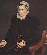 POURBUS, Frans the Elder Portrait of a Woman igtu oil painting picture wholesale